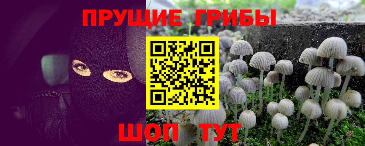 Галлюциногенные грибы мицелий  Вход с VPN  Волжск 